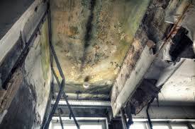 Best Crawl Space Mold Remediation  in Zachary, LA